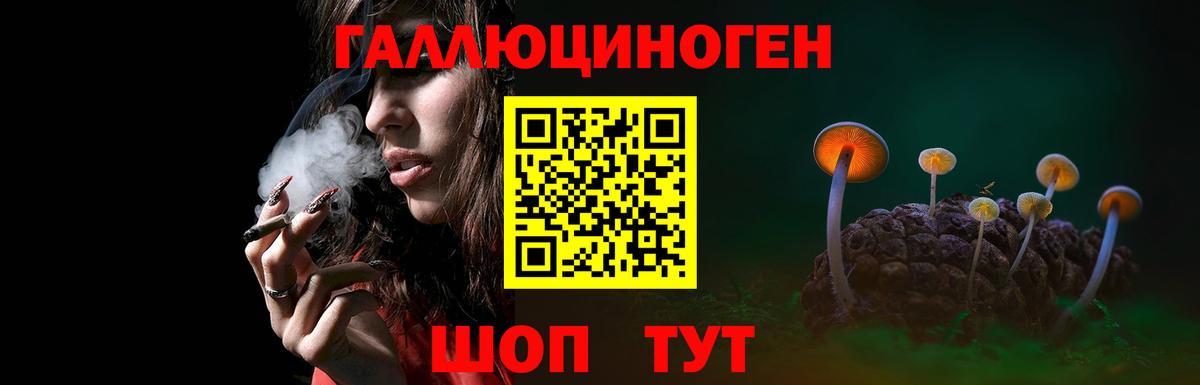 Мончегорск  Псилоцибиновые грибы MAGIC MUSHROOMS  Вход с VPN  Псилоцибиновые грибы Cubensis 